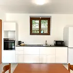 A Dream On The Apartment